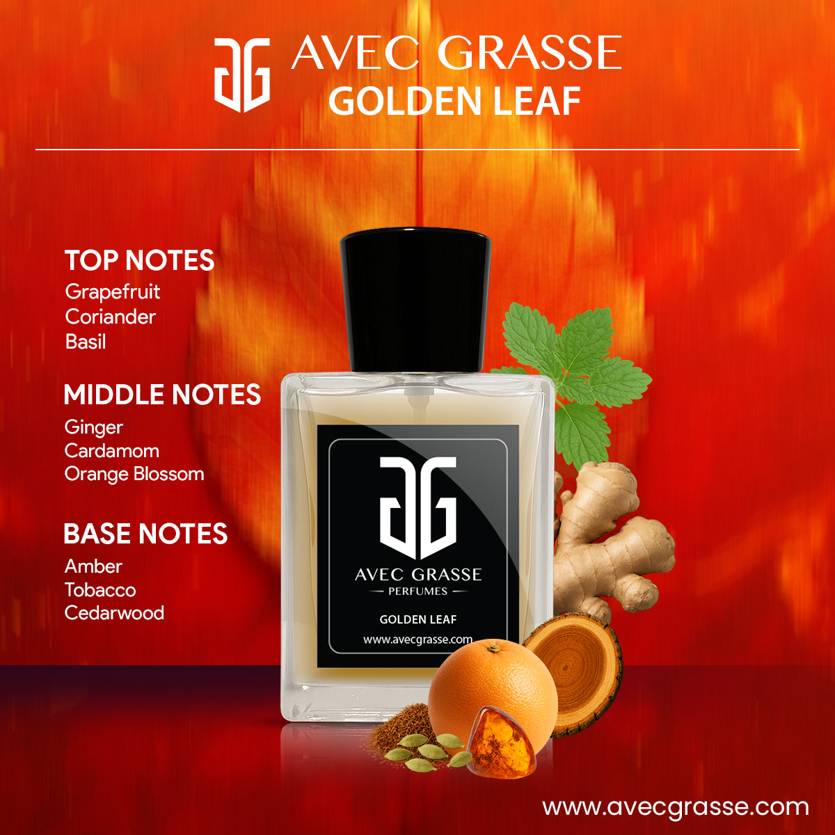 Avec Grasse Golden Leaf - 50ml Men Eau de Parfum