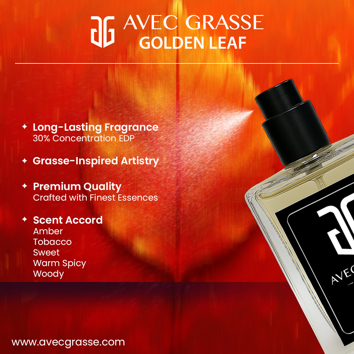 Avec Grasse Golden Leaf - 50ml Men Eau de Parfum